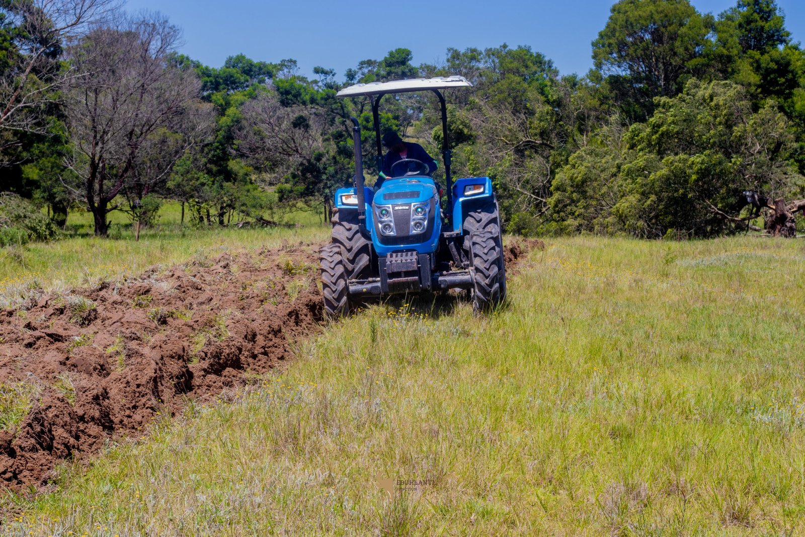 Tractor In A Farm